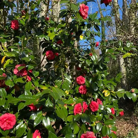 Domaine De Troliguer Holiday home Pont-l'Abbe