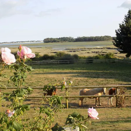 Domaine De Troliguer Pont-l'Abbe