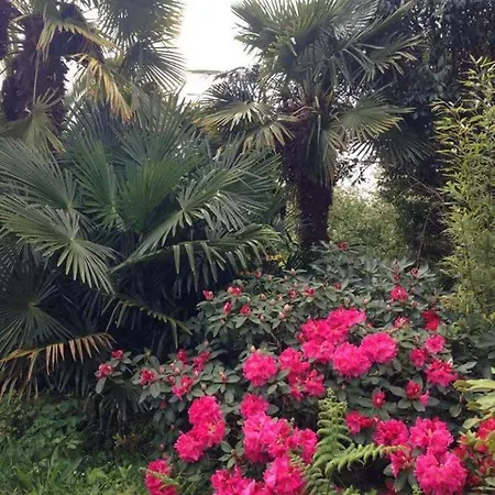 Domaine De Troliguer Holiday home *