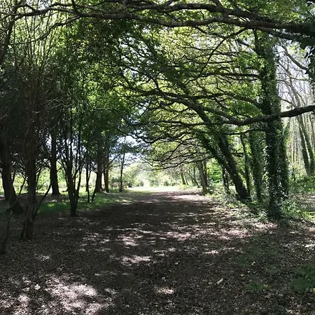Domaine De Troliguer Holiday home Pont-l'Abbe