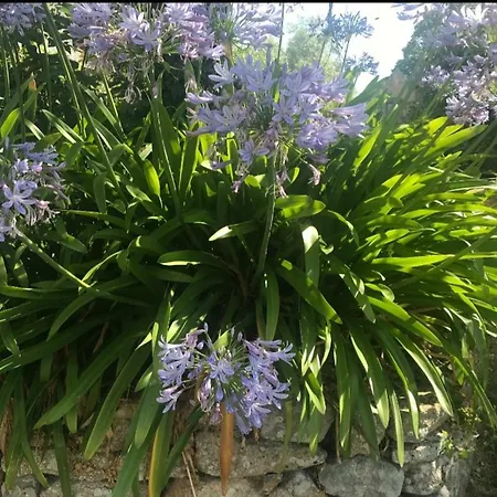 Holiday home Domaine De Troliguer Pont-l'Abbe
